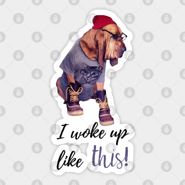 Bloodhound funny dog woke up Sticker by nounejm